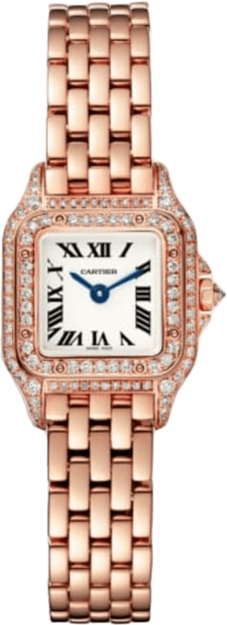 Cartier Panthère De Cartier Watch