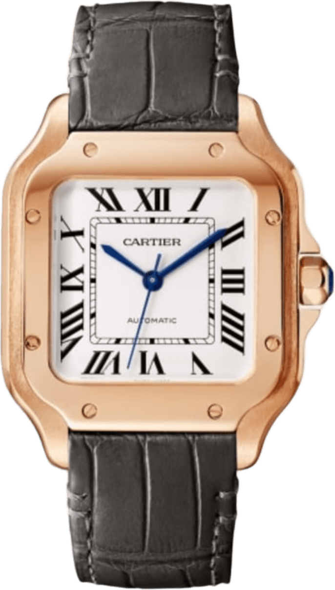 Cartier Santos De Cartier Watch
