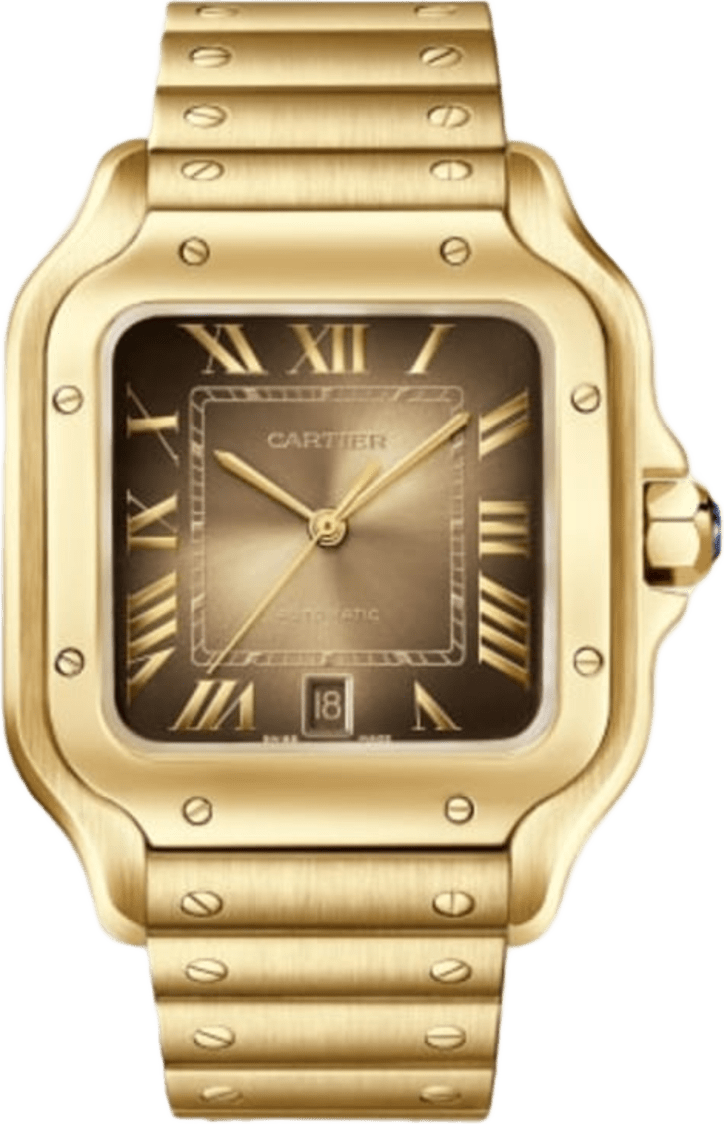 Cartier Santos De Cartier Watch