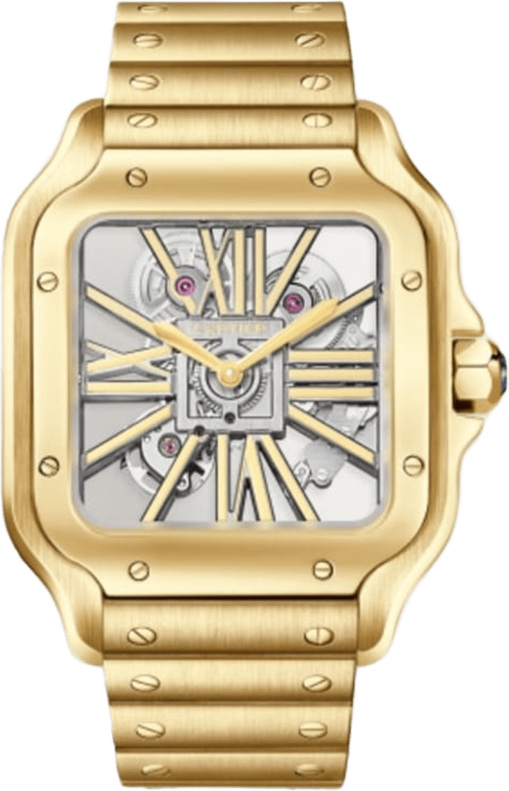 Cartier Santos De Cartier Watch