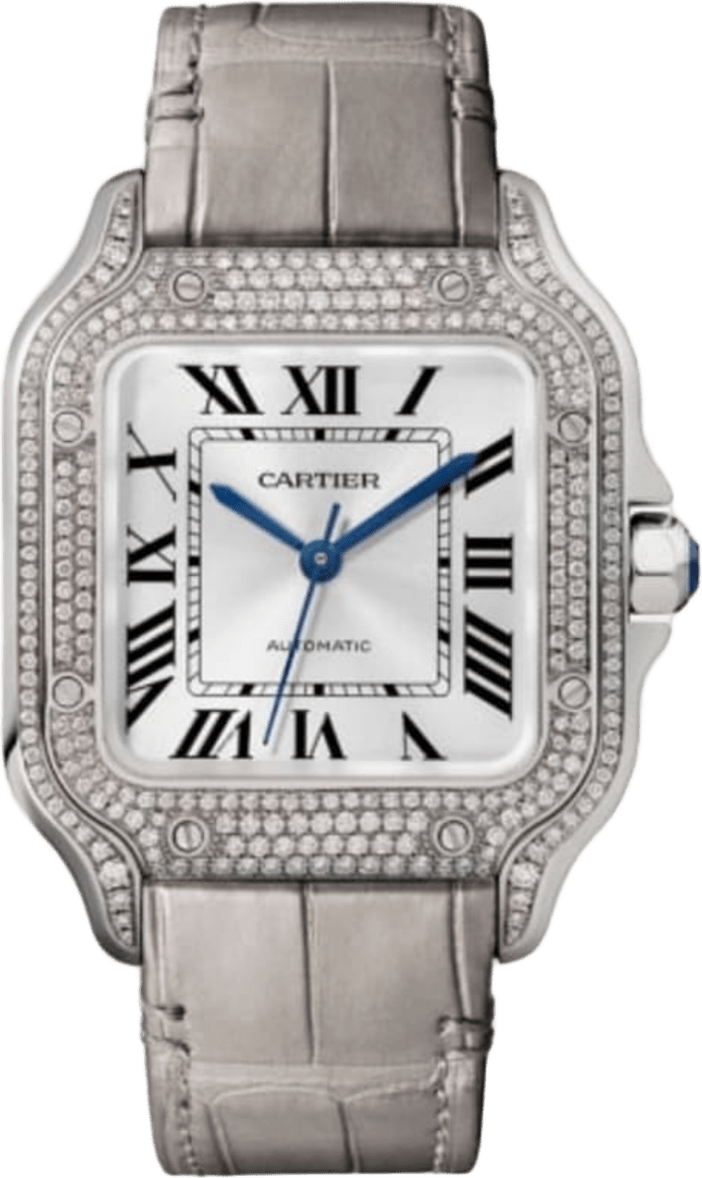Cartier Santos De Cartier Watch