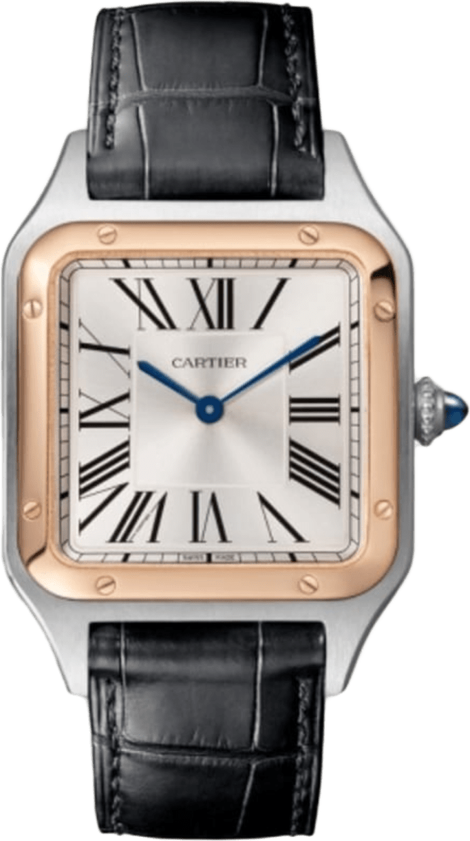 Cartier Santos-dumont Watch