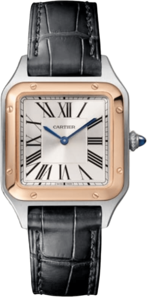Cartier Santos-dumont Watch