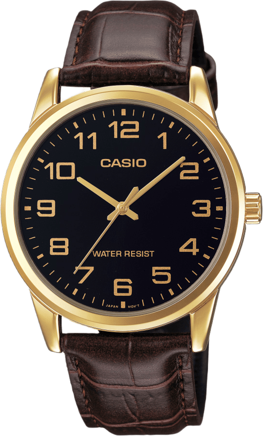 Casio Analog