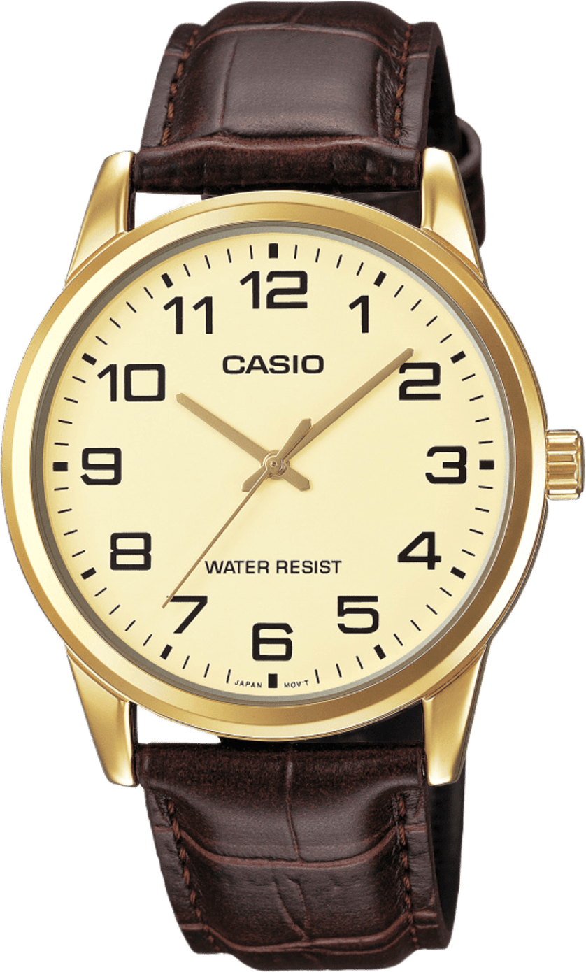 Casio Analog
