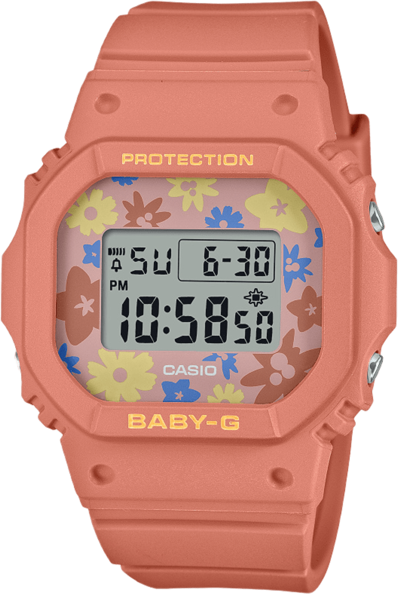 Casio Bgd-565 Series