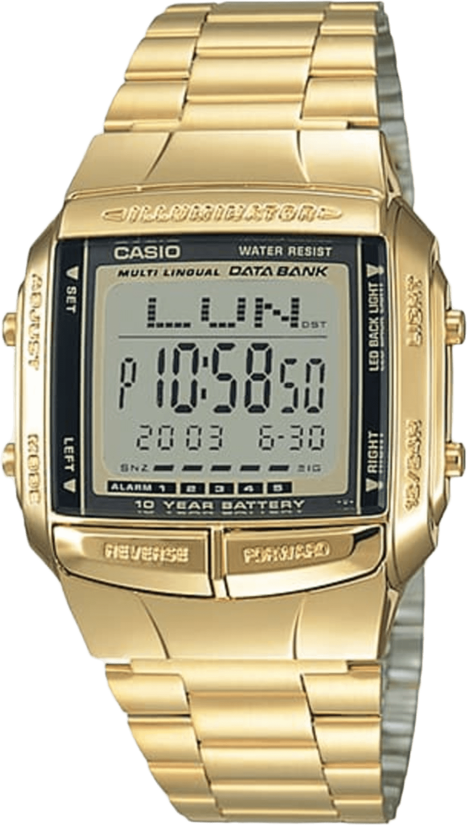 Casio Data Bank
