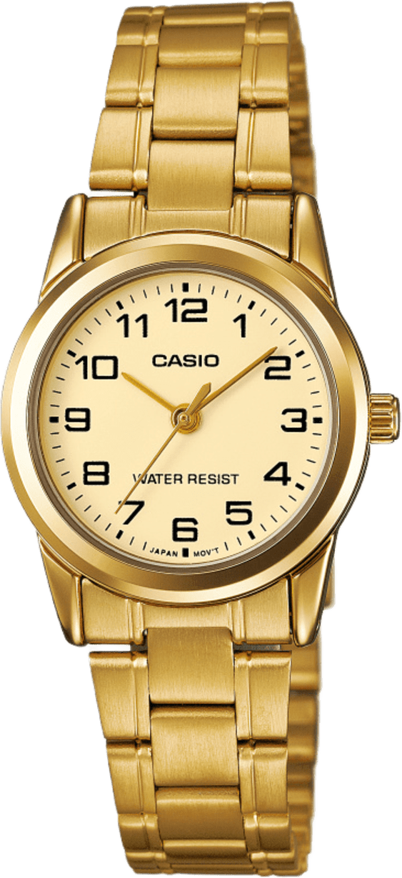 Casio Standard