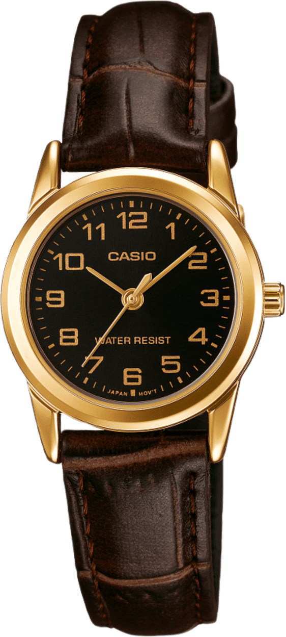 Casio Standard
