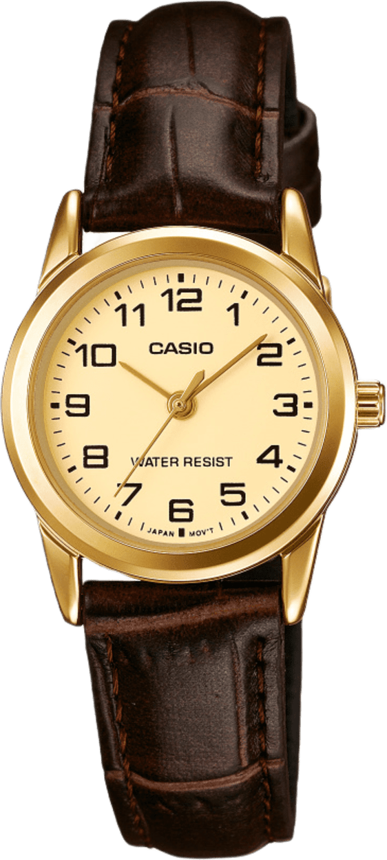 Casio Standard