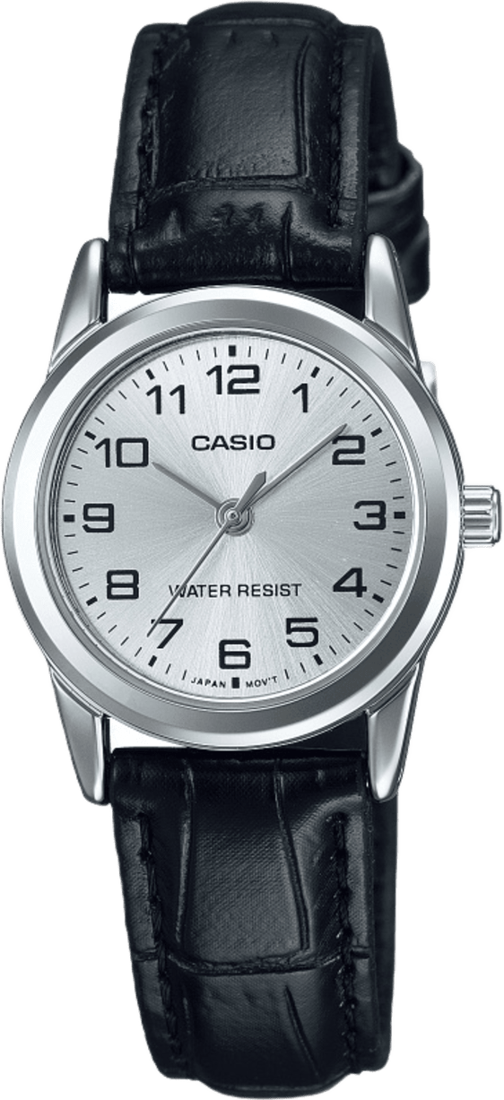 Casio Standard