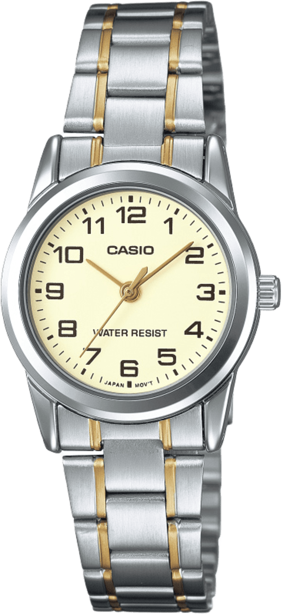 Casio Standard