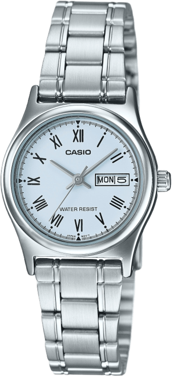 Casio Standard