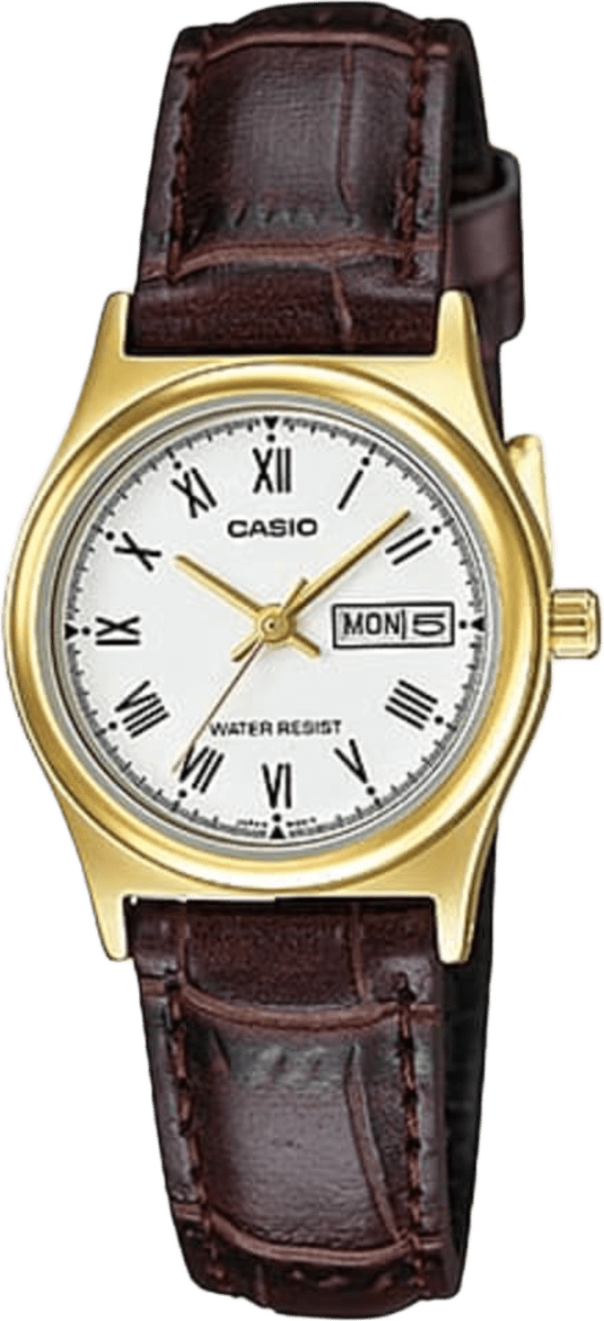 Casio Standard
