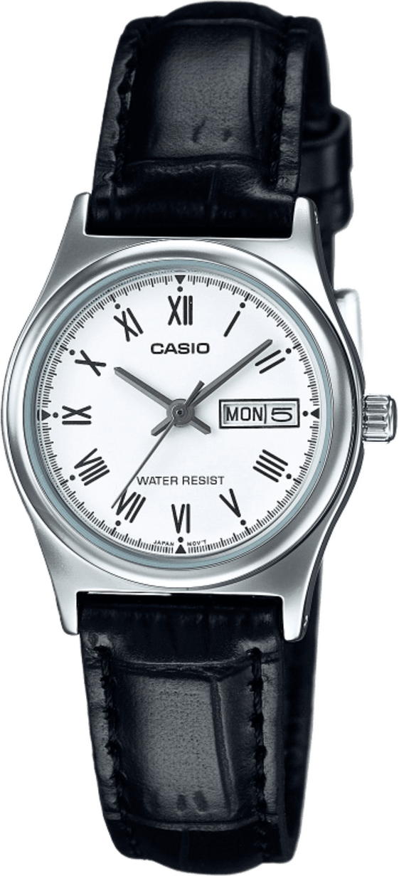 Casio Standard