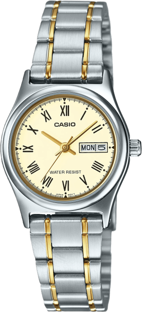 Casio Standard