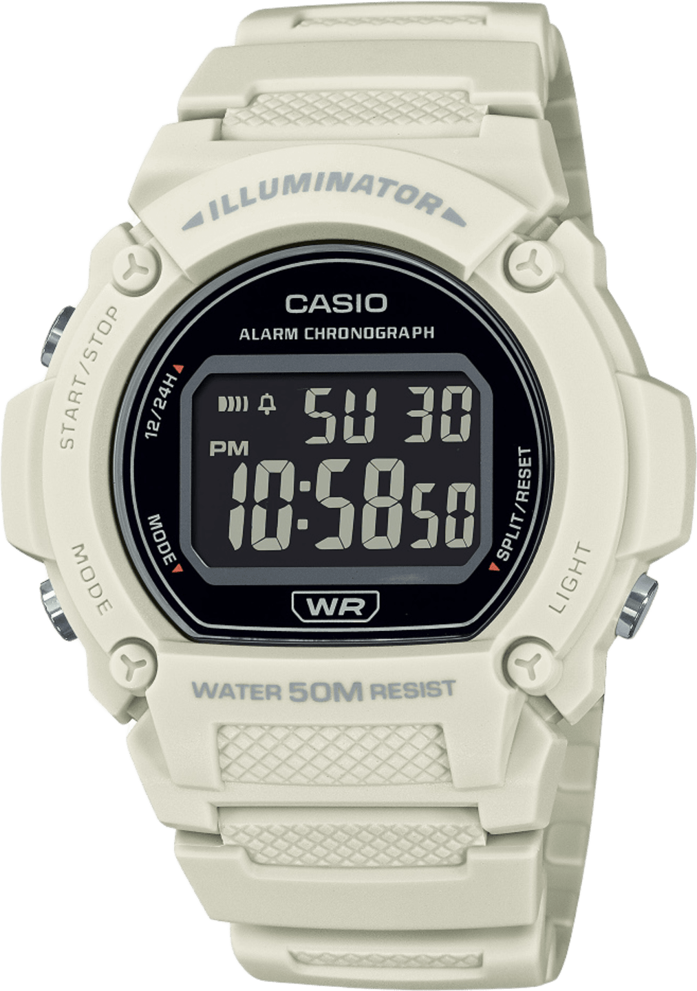 Casio Standard