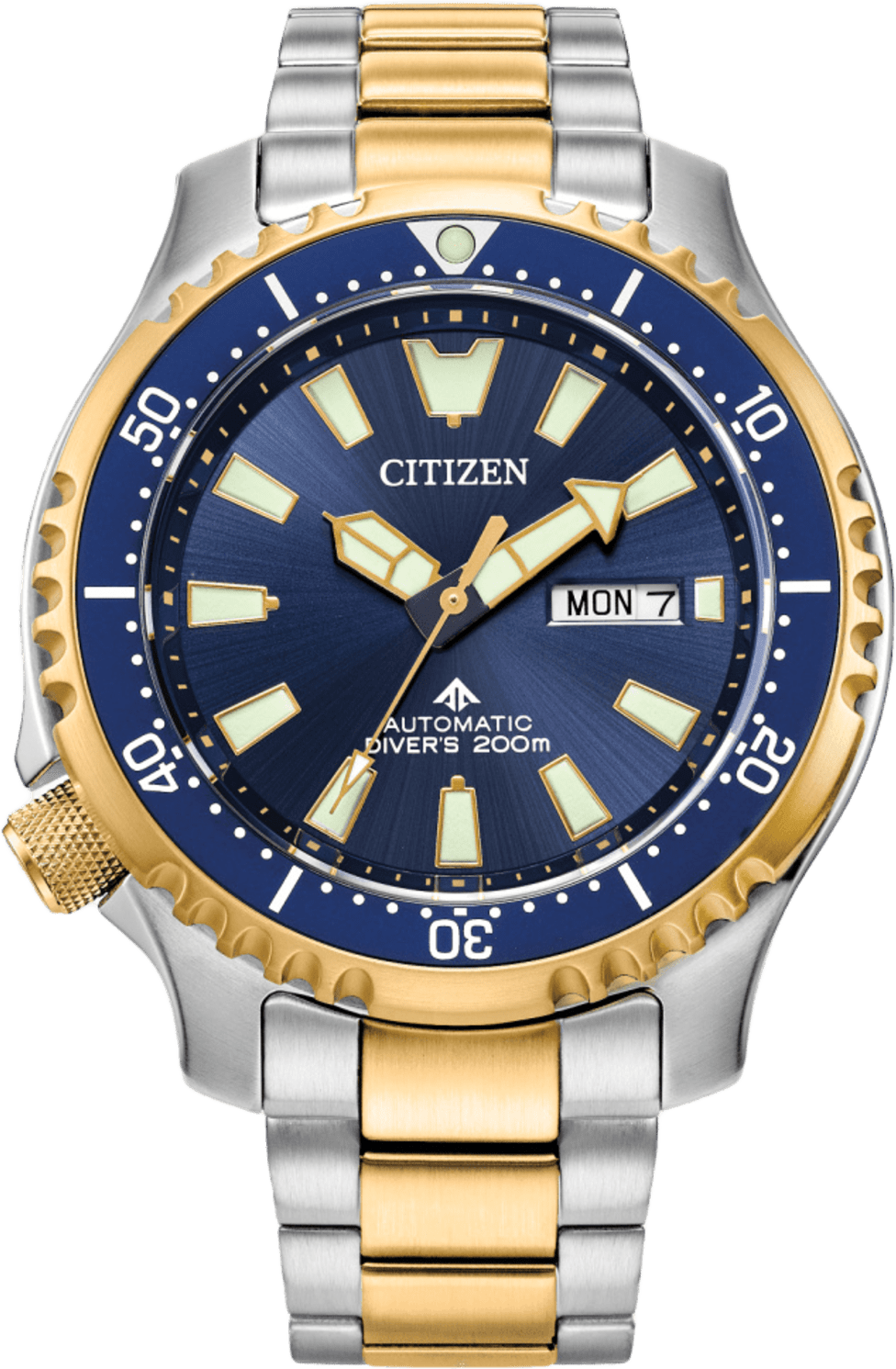 Citizen Promaster Dive Automatic