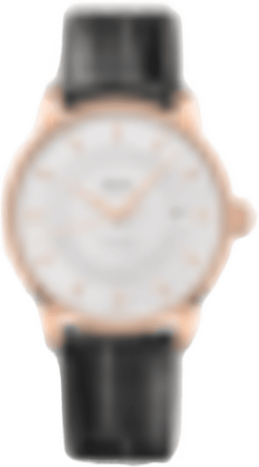 Mido Baroncelli Signature