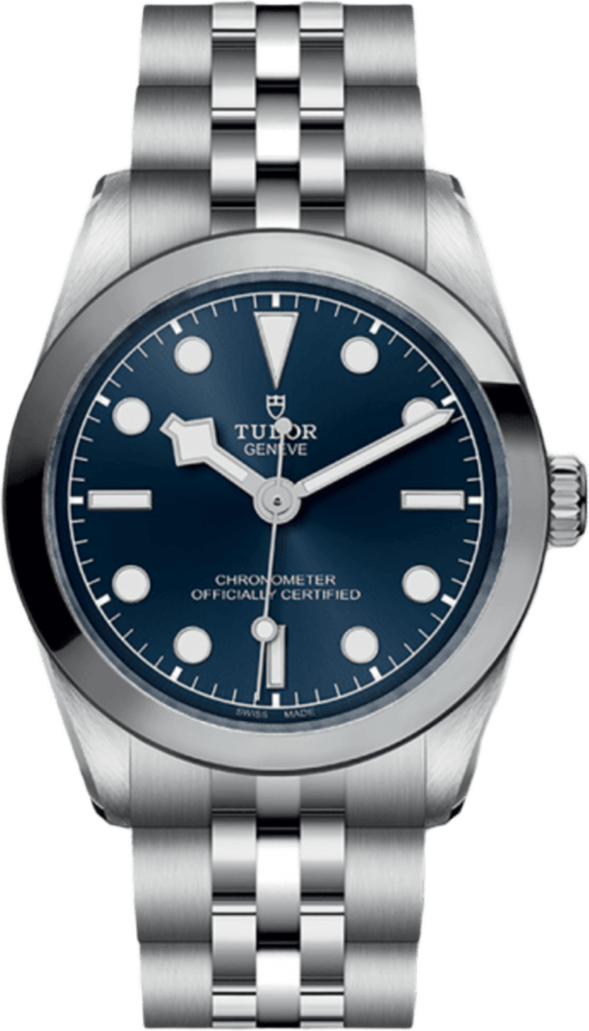 Tudor Black Bay 31