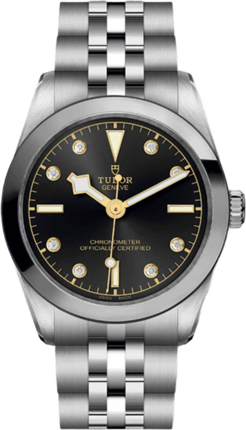 Tudor Black Bay 31