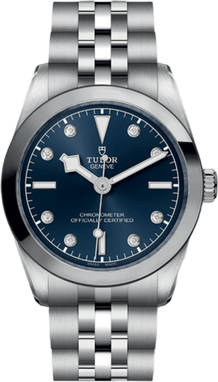 Tudor Black Bay 31