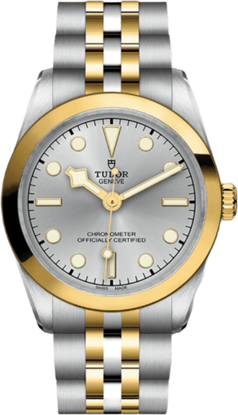 Tudor Black Bay 31 S&g