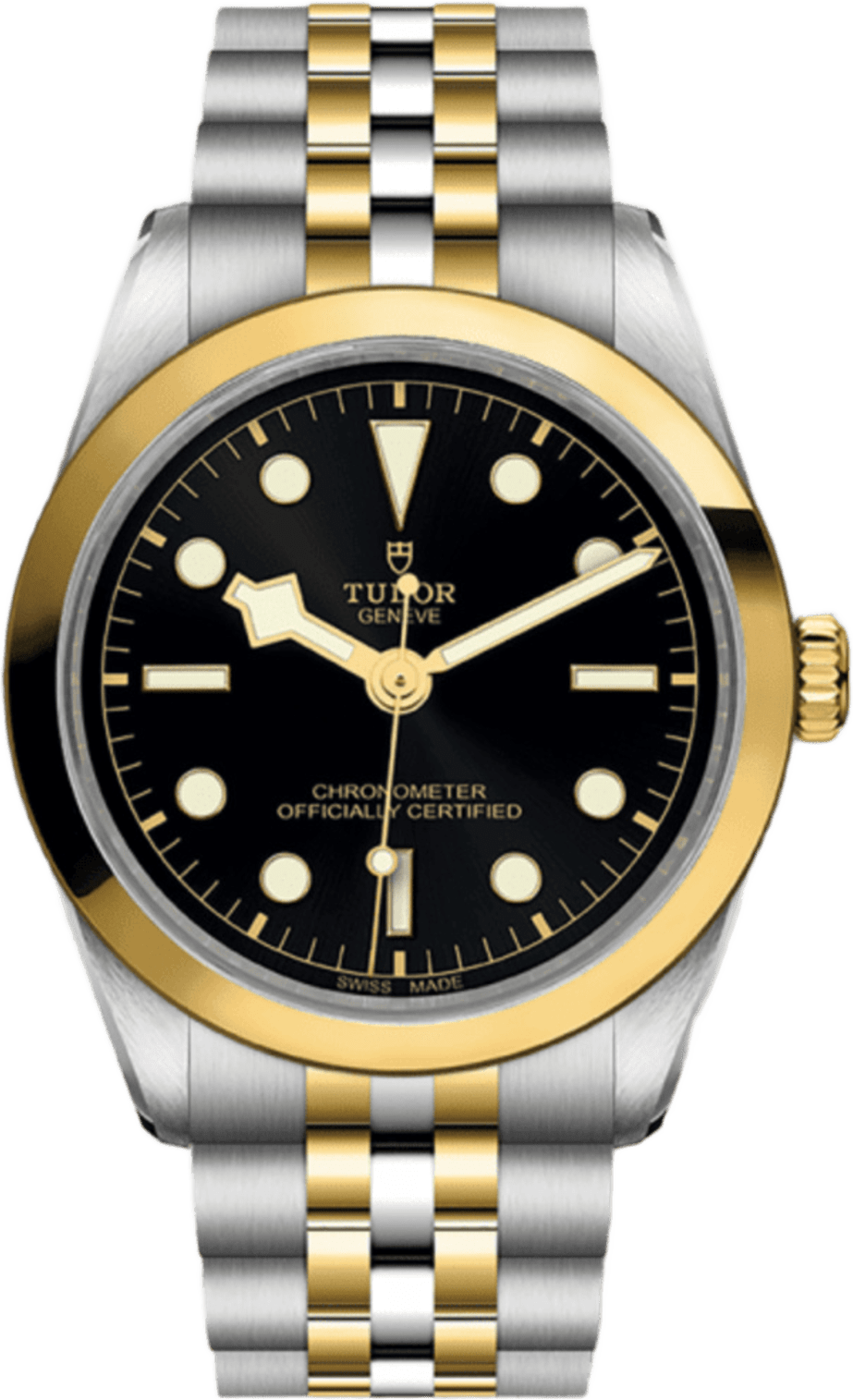 Tudor Black Bay 36 S&g