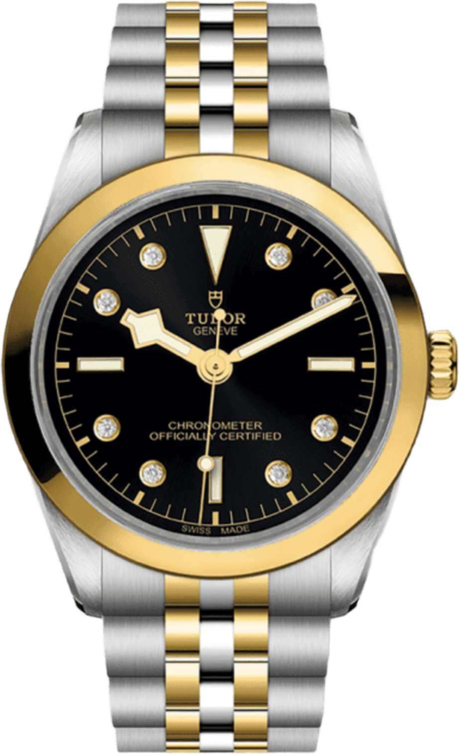 Tudor Black Bay 36 S&g