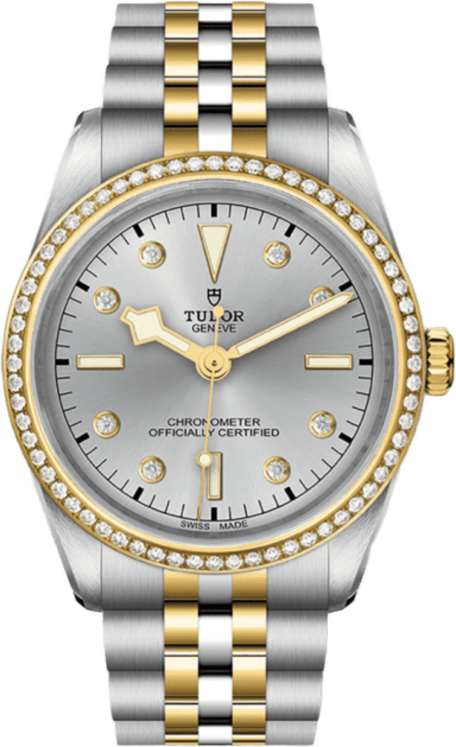 Tudor Black Bay 36 S&g