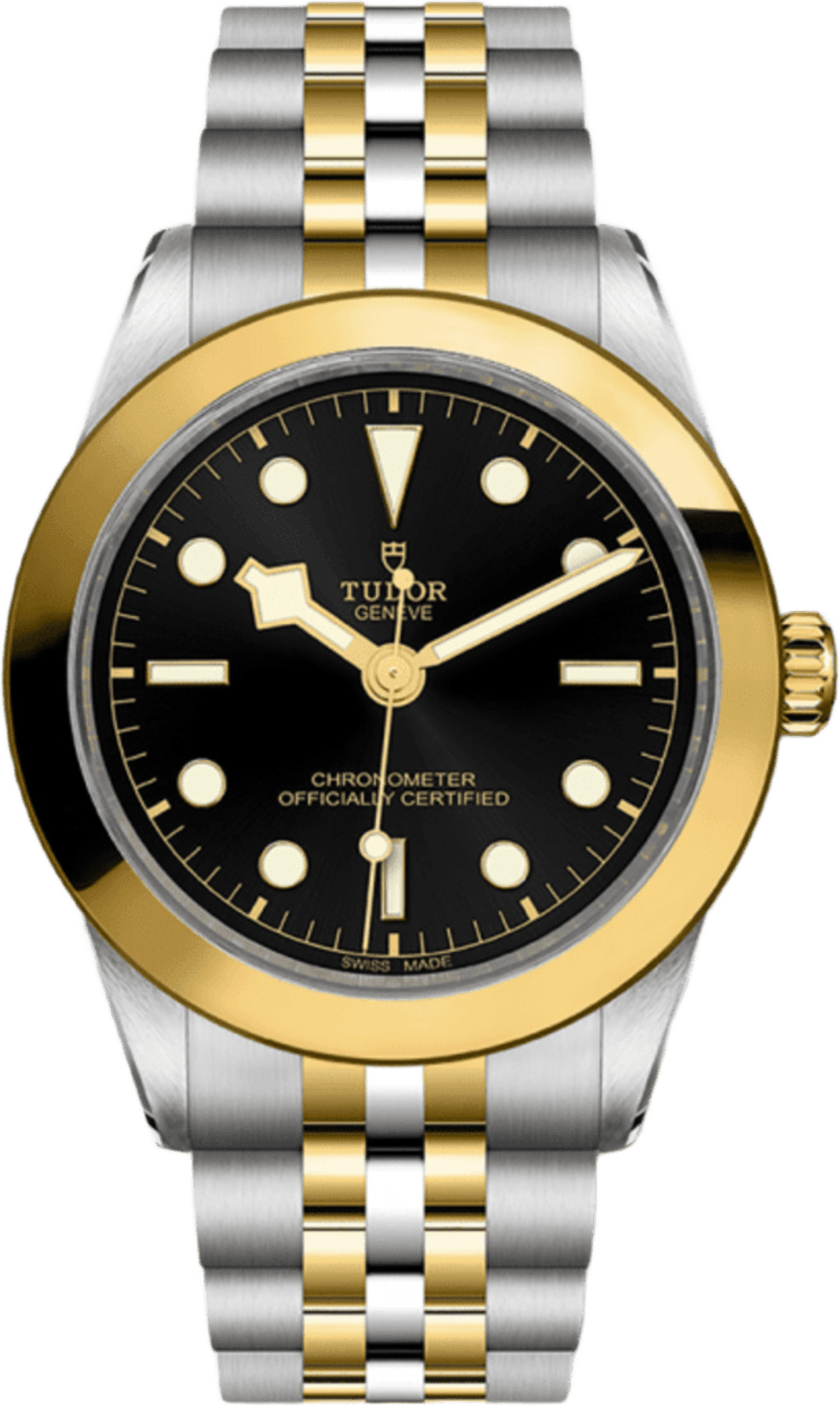Tudor Black Bay 39 S&g