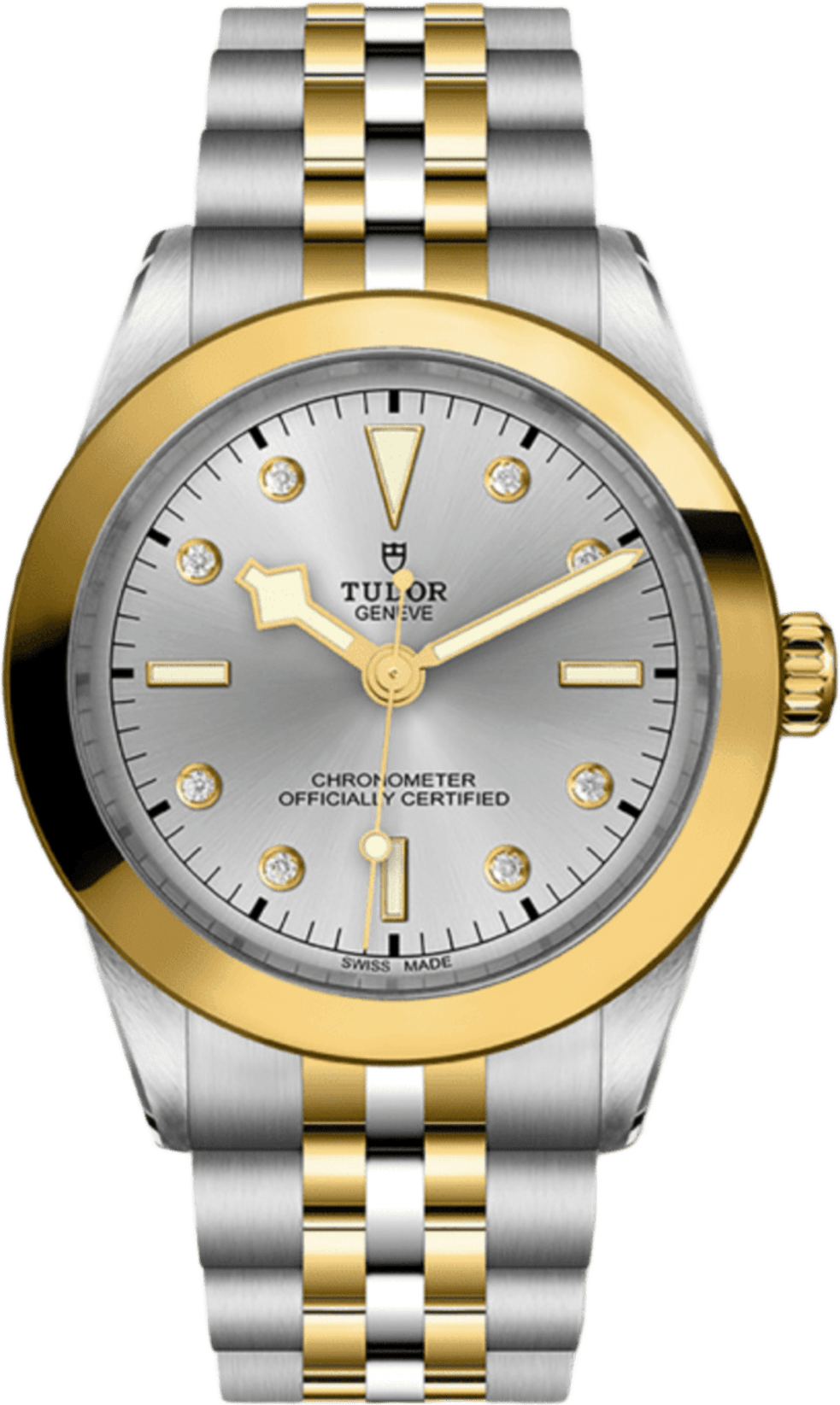 Tudor Black Bay 39 S&g