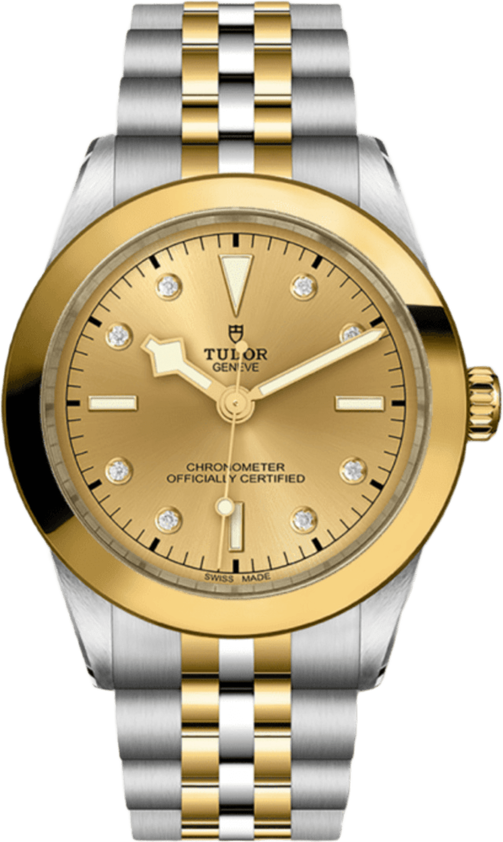 Tudor Black Bay 39 S&g