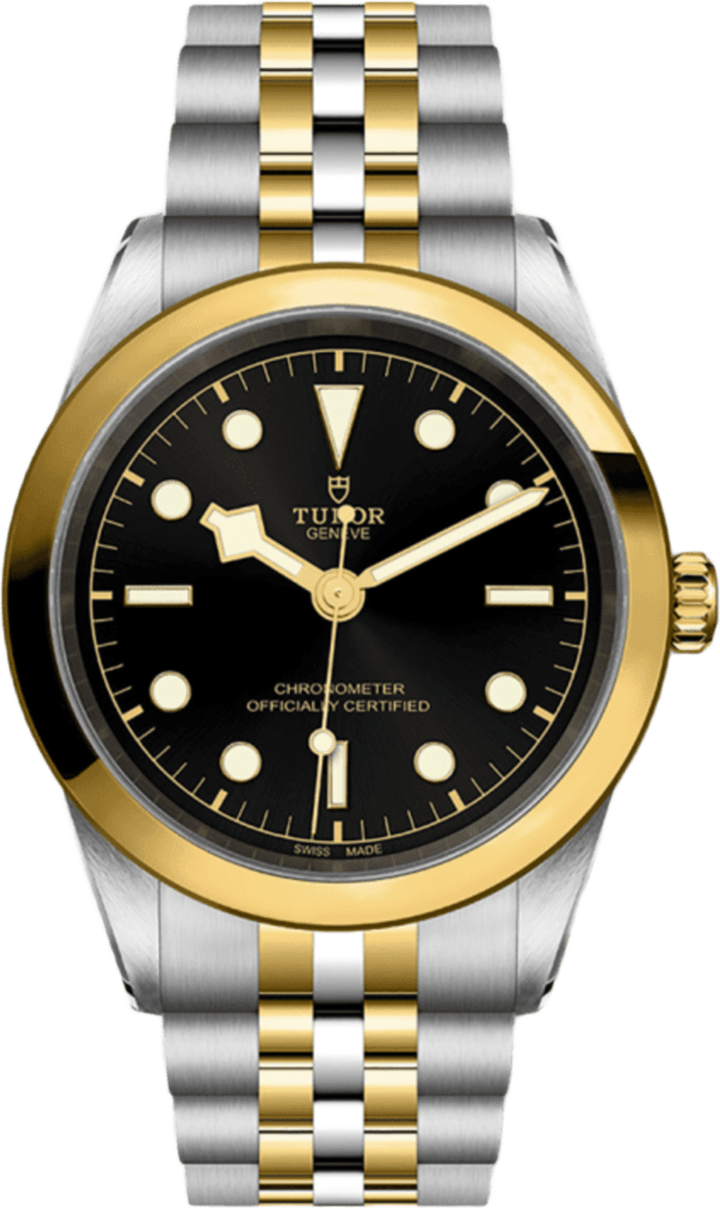 Tudor Black Bay 41 S&g