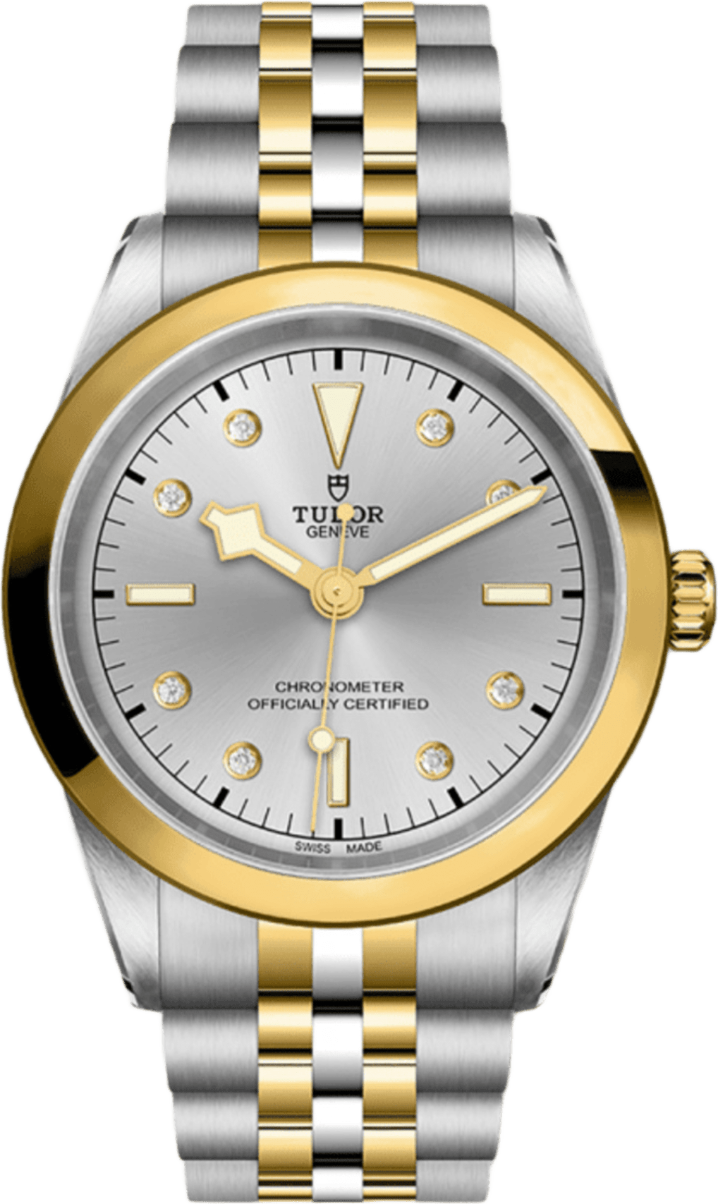 Tudor Black Bay 41 S&g