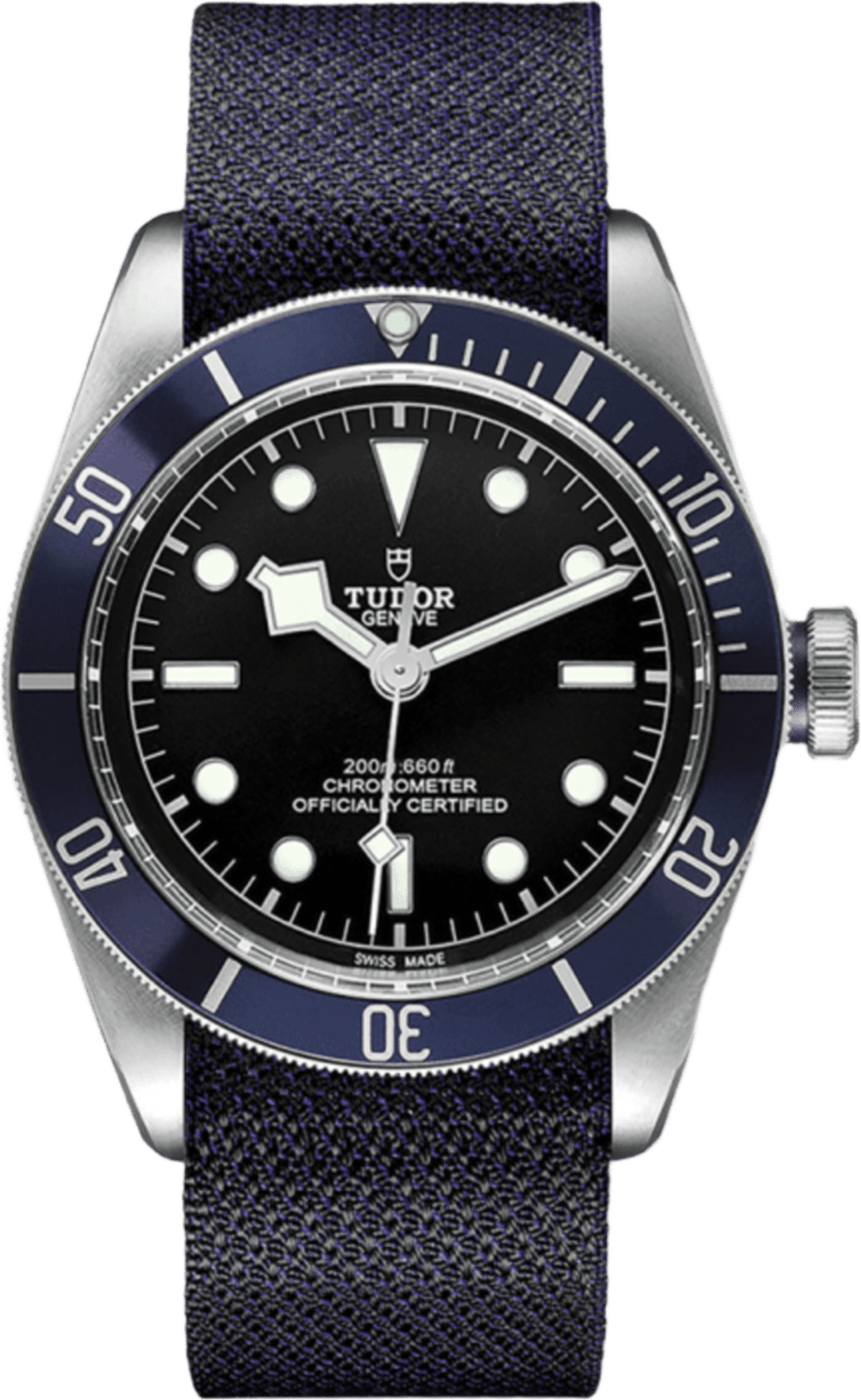 Tudor Black Bay