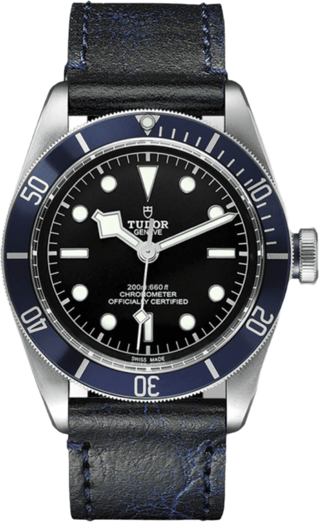 Tudor Black Bay
