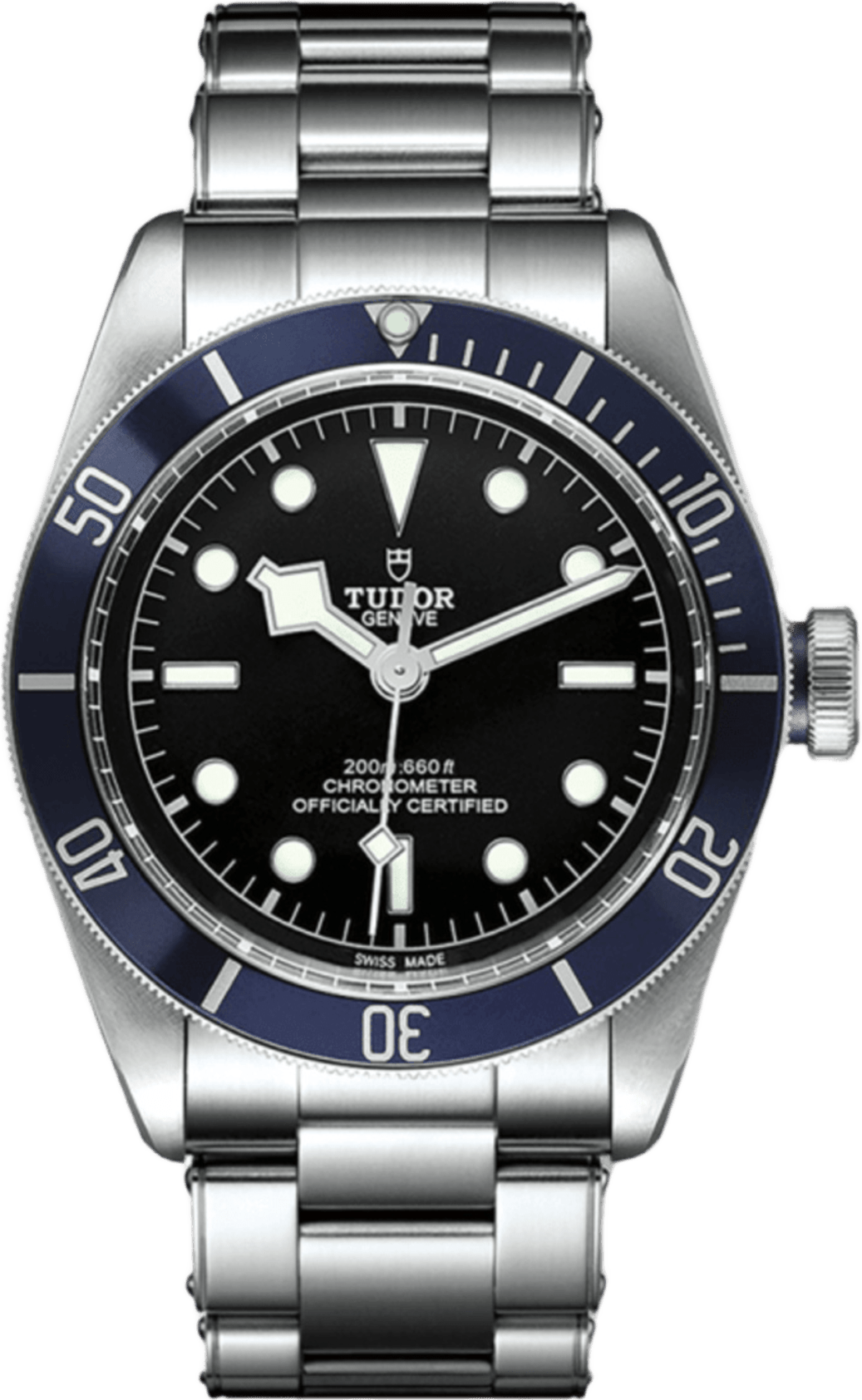 Tudor Black Bay