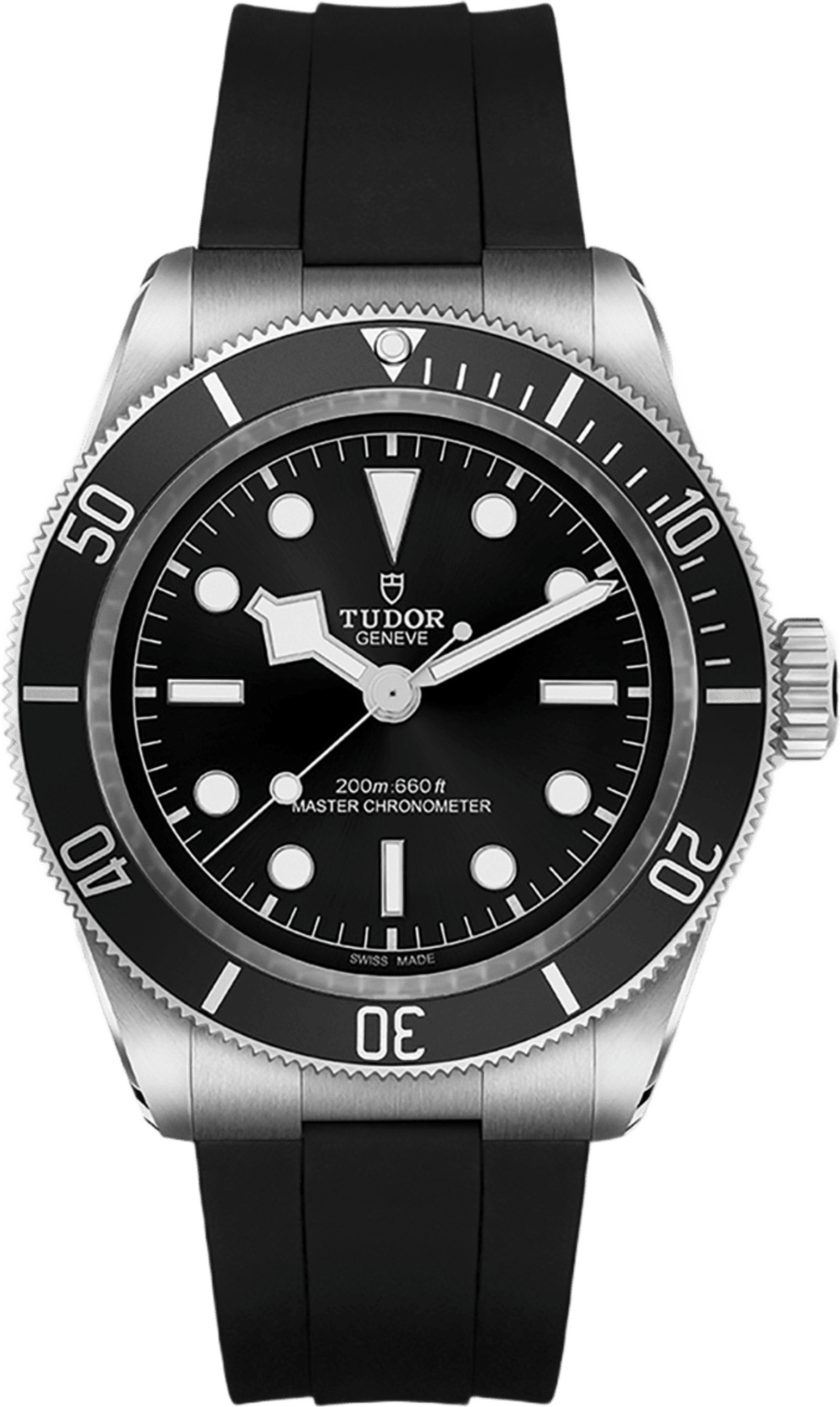 Tudor Black Bay