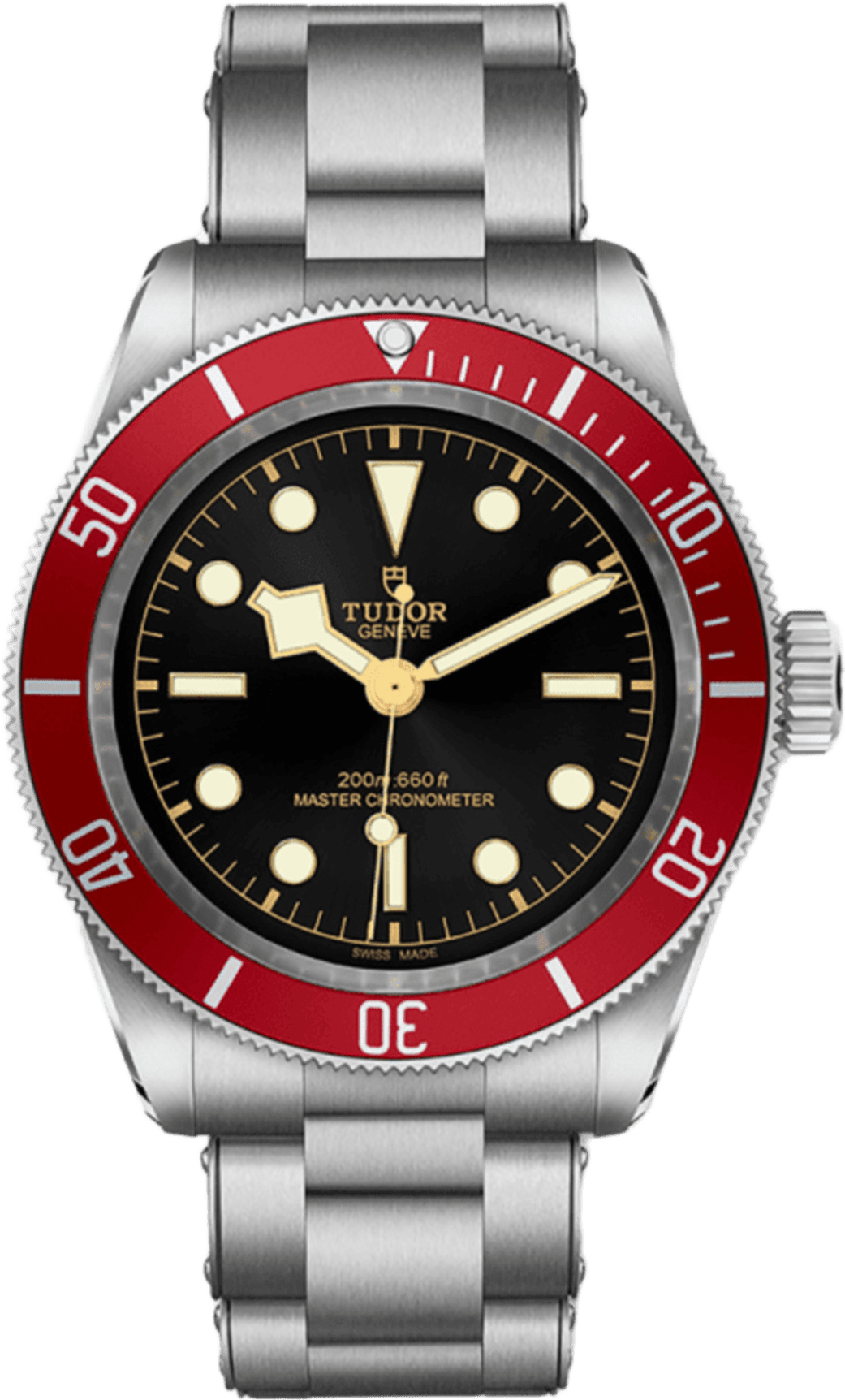 Tudor Black Bay