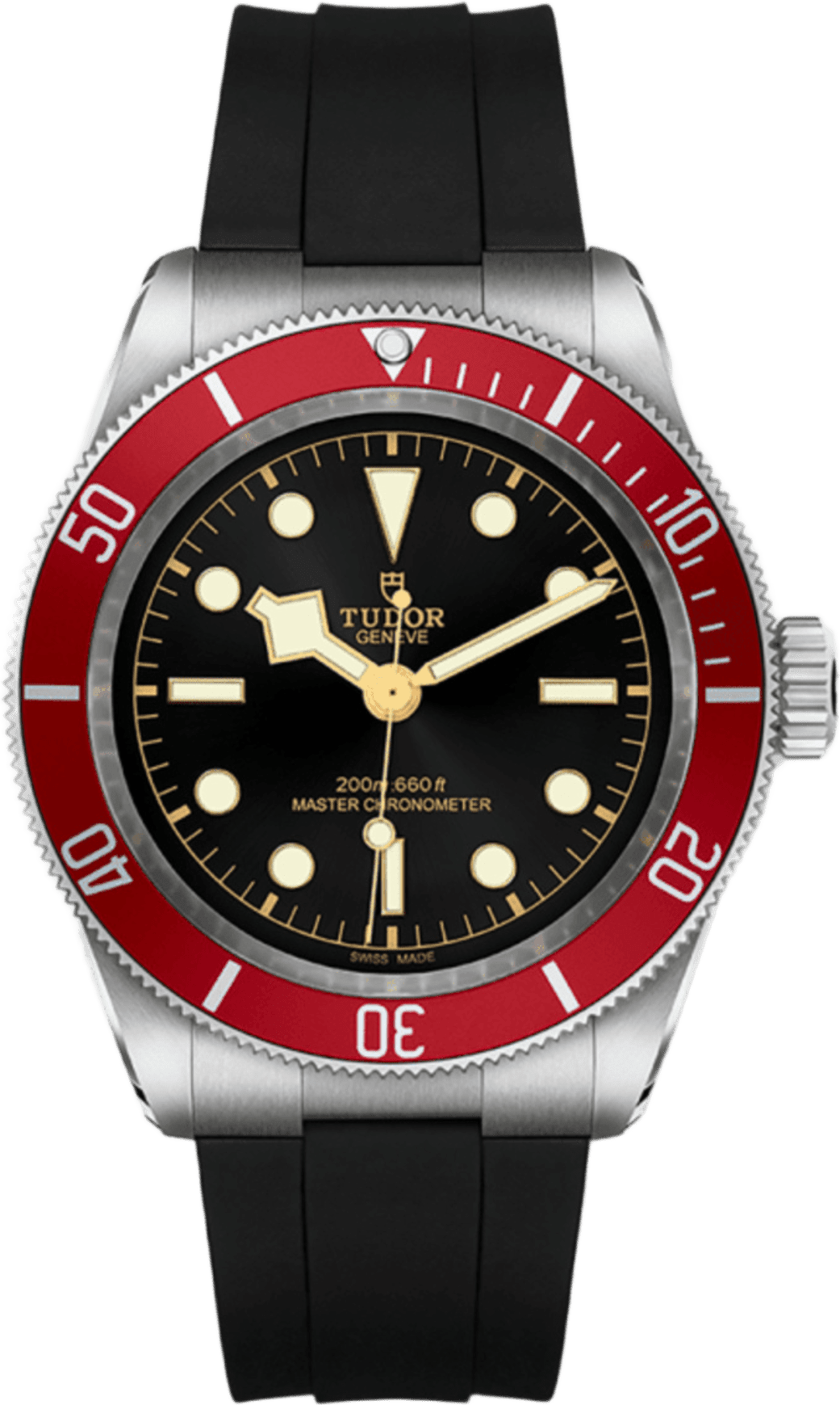 Tudor Black Bay
