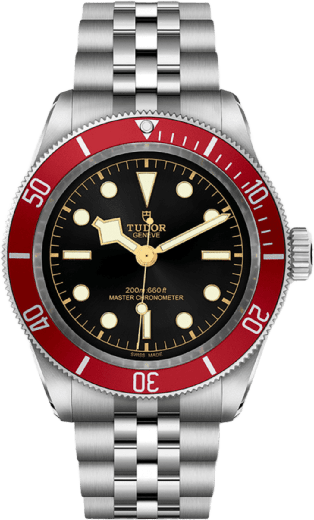 Tudor Black Bay