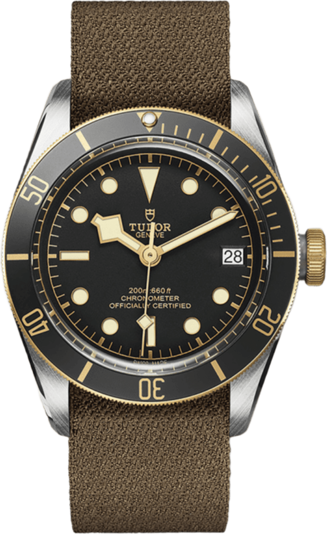 Tudor Black Bay S&g