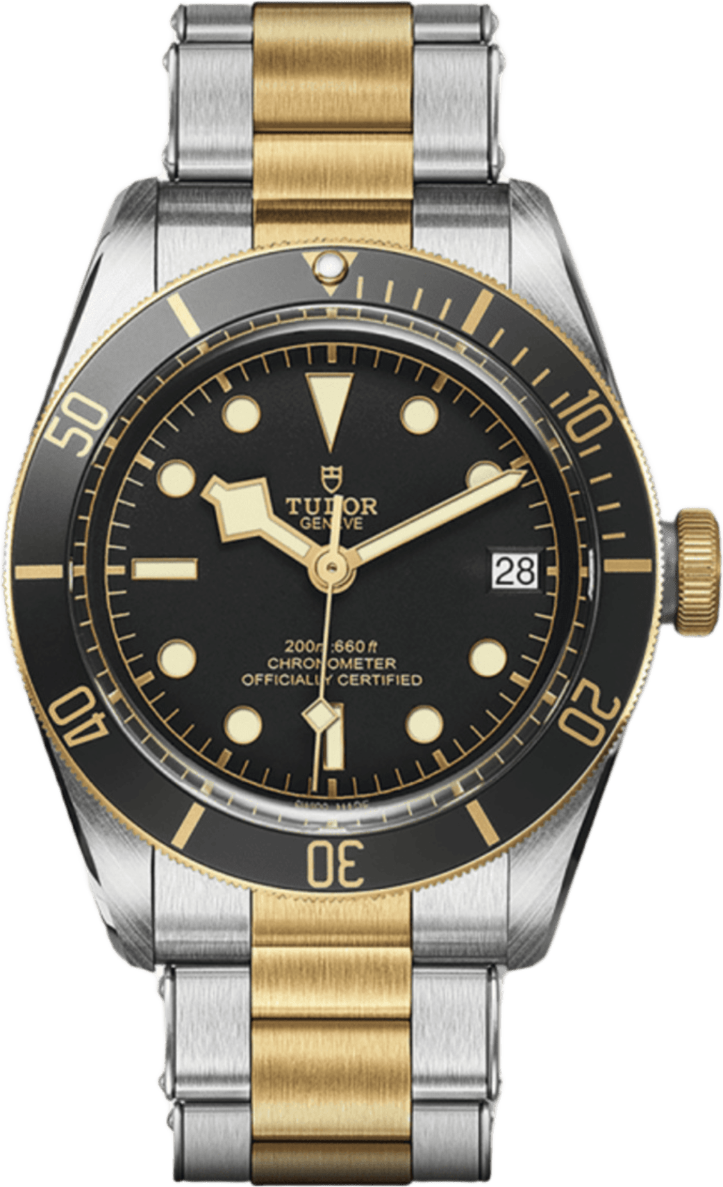 Tudor Black Bay S&g