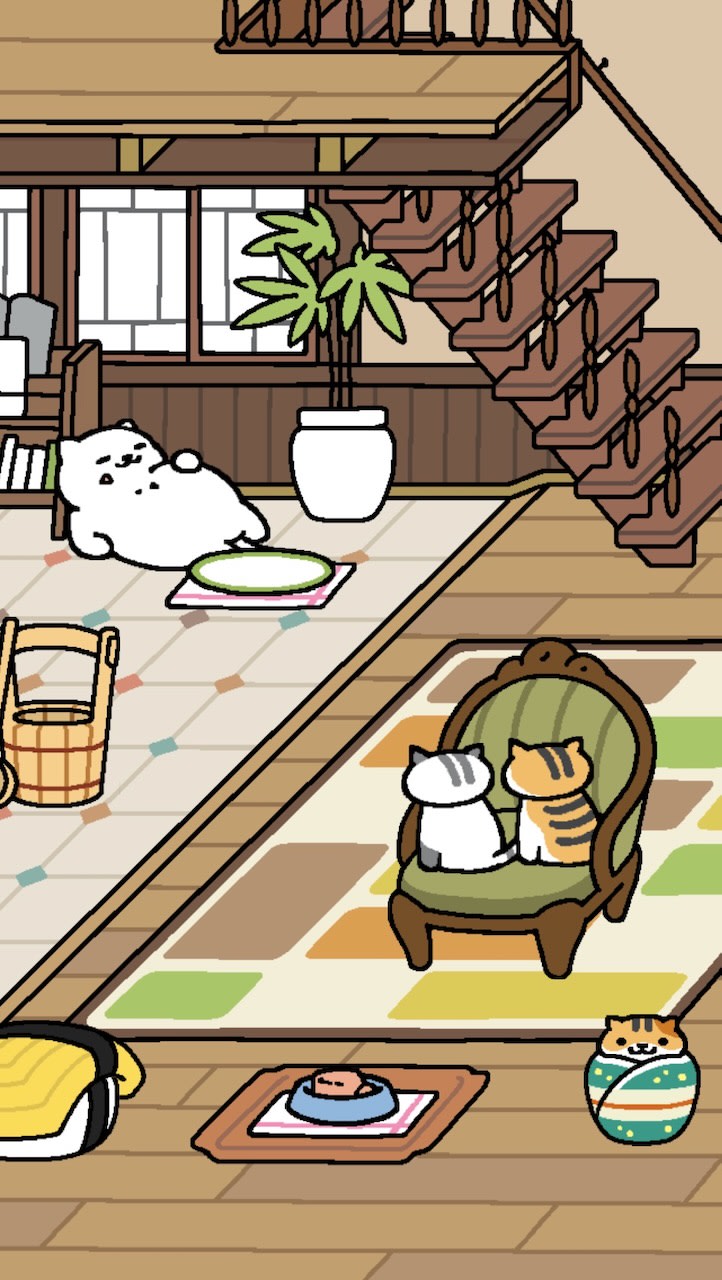A pair of cats looking at Tubs and an empty sashimi plate