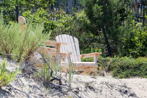 Beach Chairs