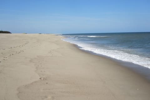 Near Word-Famous Nauset Beach