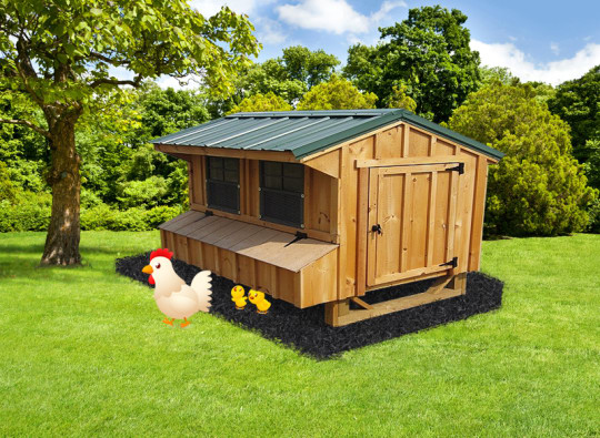 Chicken Coop Gray