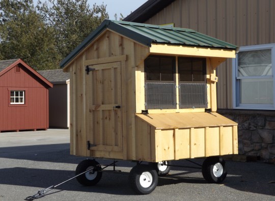Chicken Coop Buckskin