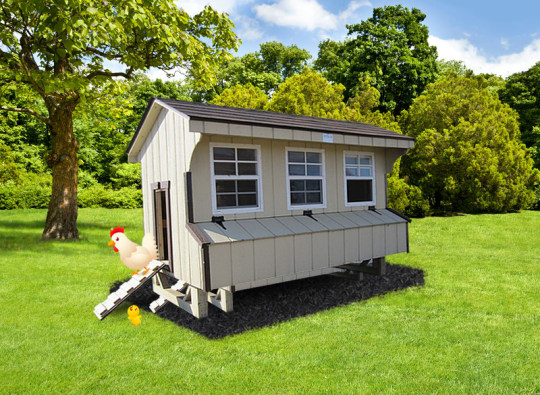 Chicken Coop Biege